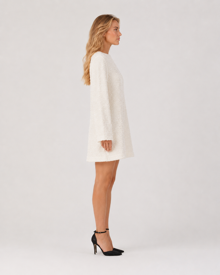 Sequin Mini Dress with Bow on the Back for Women – Giadelle