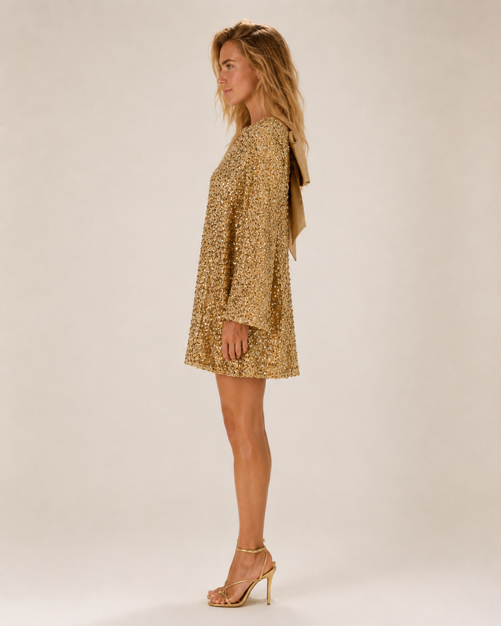 Sequin Mini Dress with Bow on the Back for Women – Giadelle