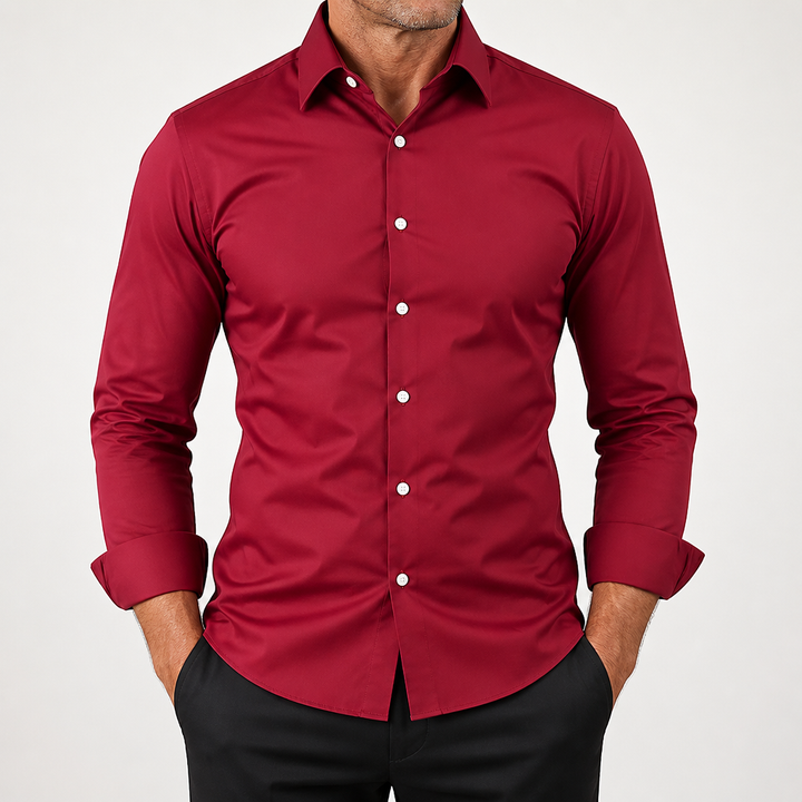 Lorcan | Dress Shirt Wrinkle Free Formal Business Long Sleeve