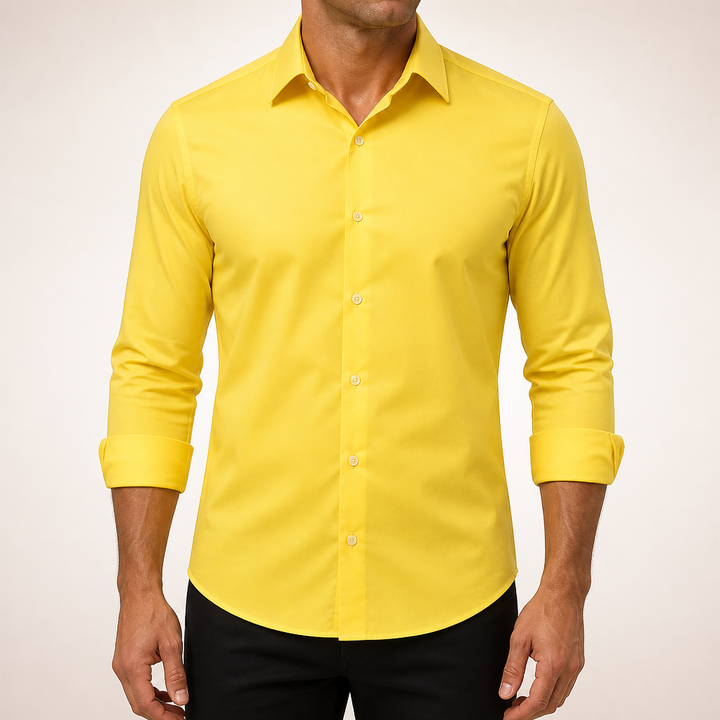 Lorcan | Dress Shirt Wrinkle Free Formal Business Long Sleeve